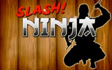 Slash Ninja: Reflex Action Game Online