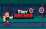 Tiny Archer: Bow Master Challenge Online Game