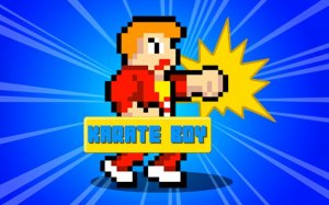 Karate Boy: Punch Master Online Game