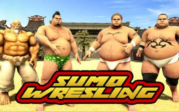 Sumo Wrestling Arena