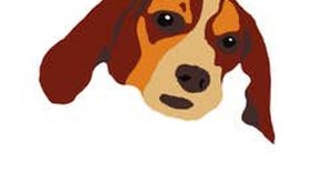 Paws & Points: A Calm Pet Collector
